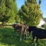 Tor Zur Teufelsschlucht *