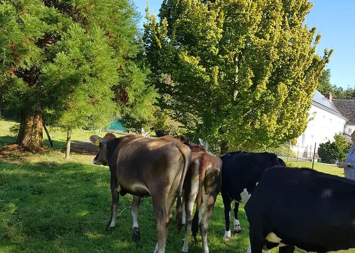Tor Zur Teufelsschlucht *