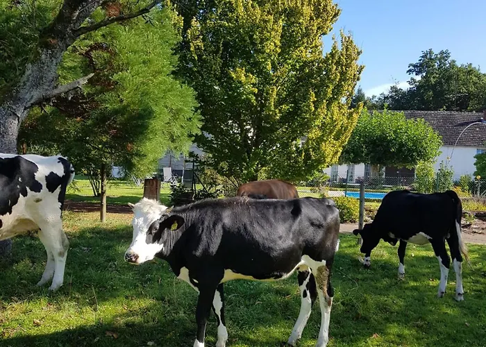 Апартаменты Tor Zur Teufelsschlucht Ferschweiler