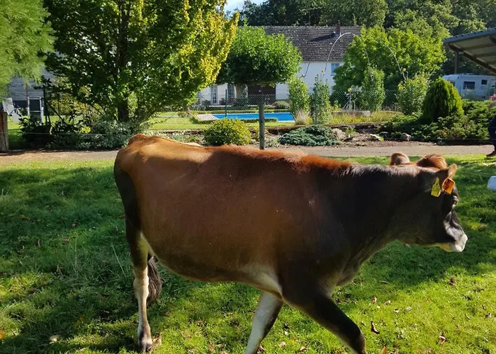 Апартаменты Tor Zur Teufelsschlucht Ferschweiler